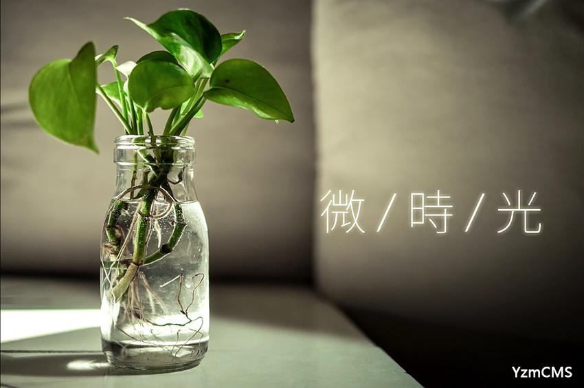 至我逝去的大學(xué)時(shí)光