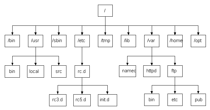 Linux目錄結構及詳細介紹
