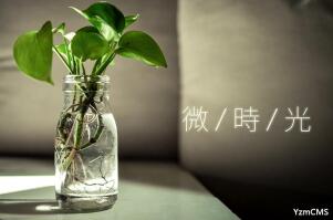 致我逝去的大學(xué)時(shí)光