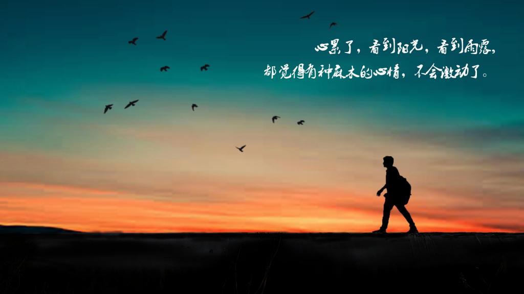 YzmCMS論壇社區(qū)關(guān)閉通知