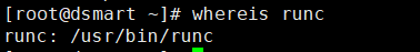 OCI runtime create failed: container_linux.go:318問題及解決方案